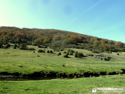 Parque Natural de Tejera Negra - Cantalojas - Guadalajara - Sierra de Ayllón;beneficios para la sal